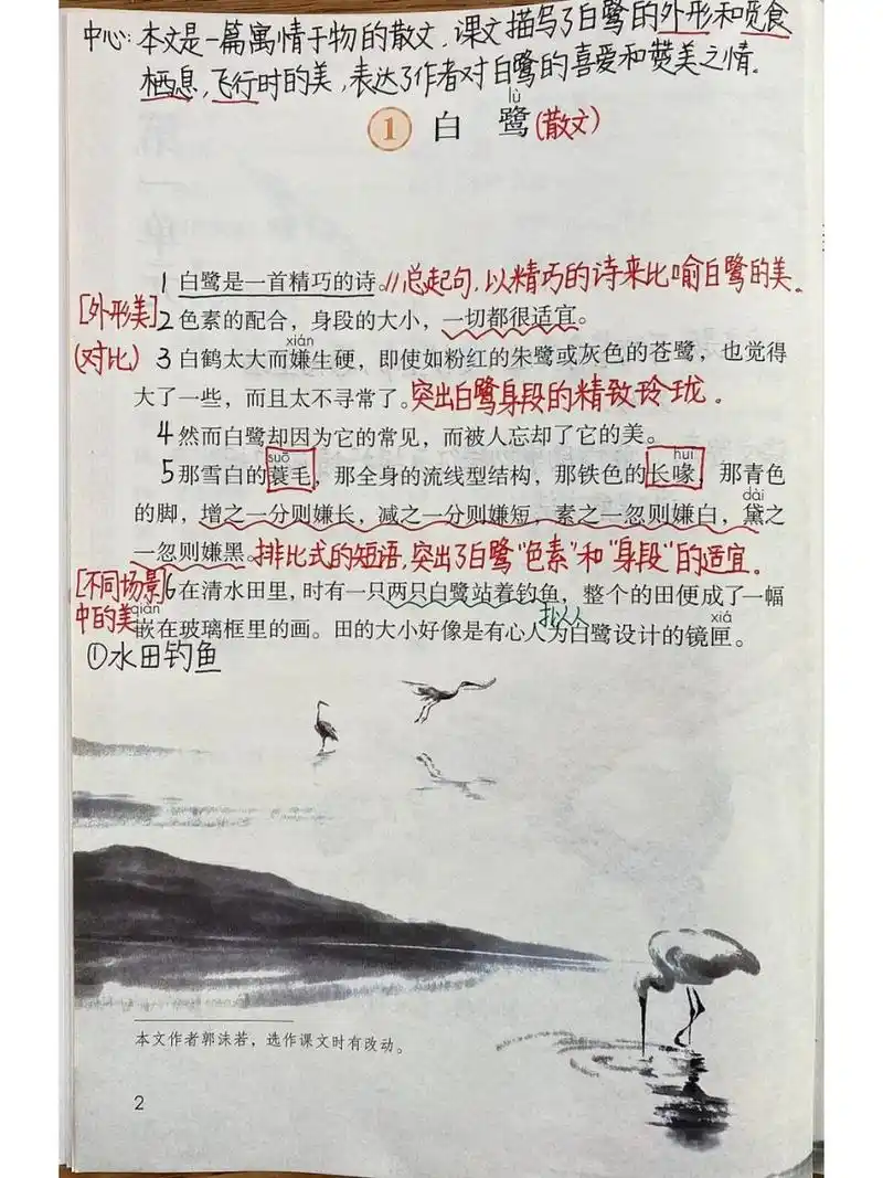 五年级上册——第1课《白鹭》课堂笔记