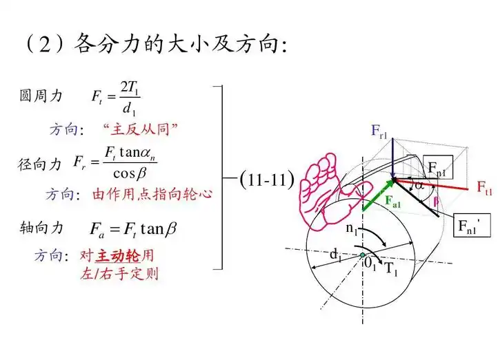 大小及方向: 2t1 ft   圆周力 d1 方向:"主反从同" ft tan  n 径向力