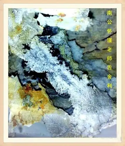 南一鹏:父亲南怀瑾死后烧出舍利了吗?