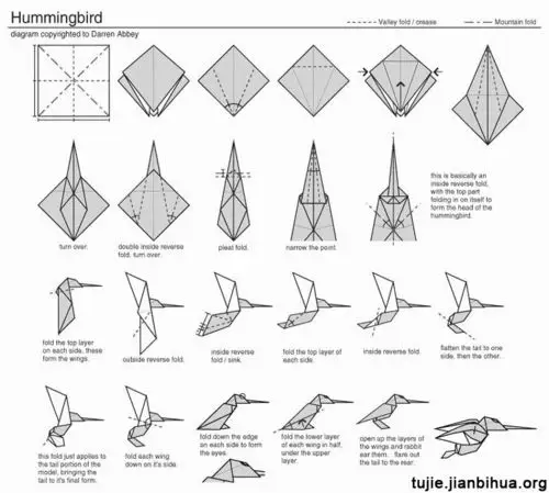 给大家分享一个个性的蜂鸟折纸做法,希望你能喜欢
