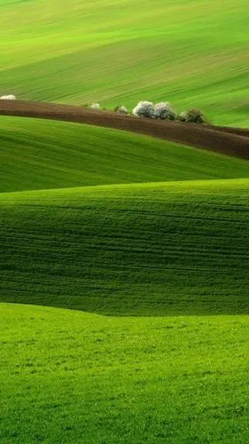 辽阔的大自然草原风光,高清图片,手机壁纸