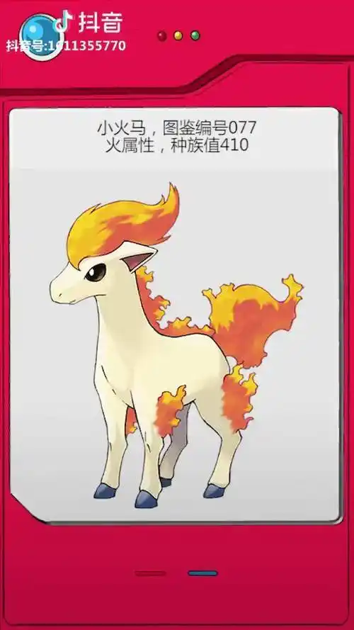 全国图鉴编号077小火马精灵宝可梦宠物小精灵神奇宝贝动漫游戏