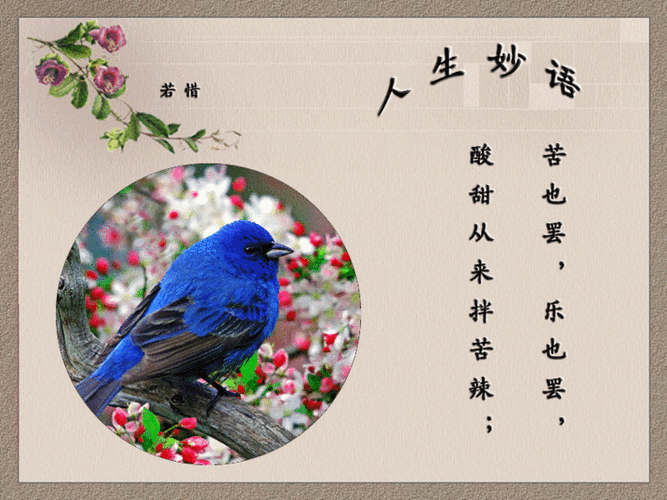 人生妙语哲理图文