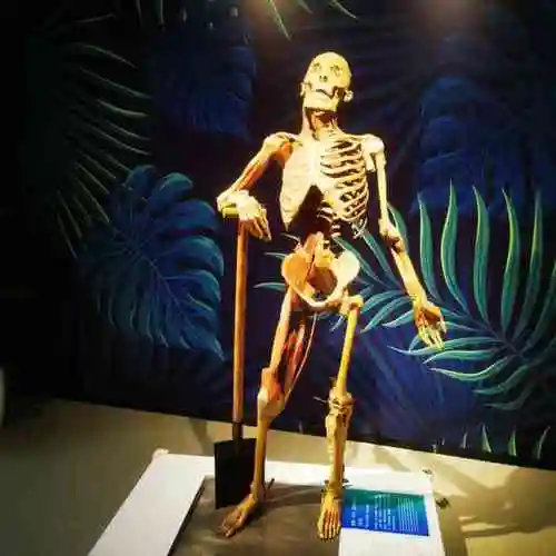 生命奥秘博物馆