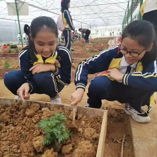 广州市先烈中路小学2021志惠农场研学活动回顾
