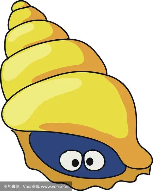 贝壳,卡通,可爱的,双壳贝,人