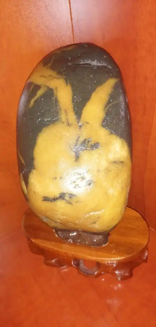 奇石分享之～动物篇