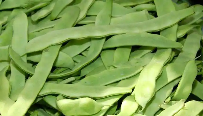 豆角的储存,受冻扁豆怎样处理效果好,保鲜豌豆有何妙招