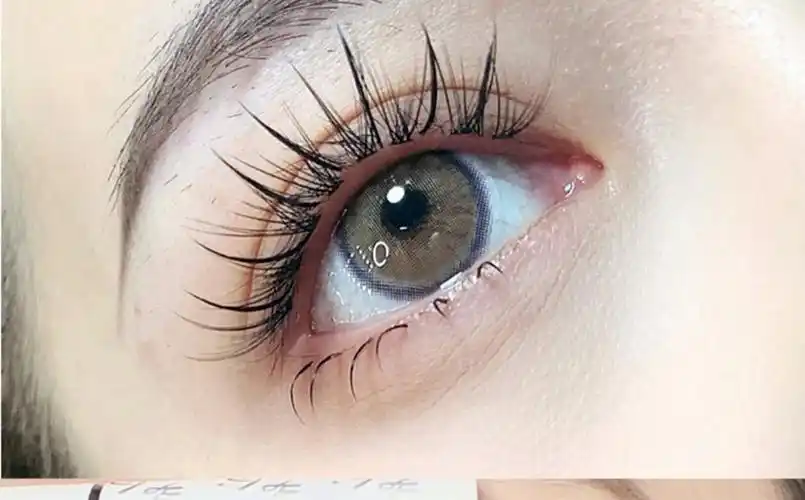 仙子毛鱼尾混合装单簇a型仙女毛自然分段单根嫁接朵毛网红假睫毛三维