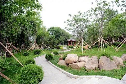 绿草如茵 "小草原"点缀大美延吉_fororder_图片1