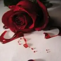 伤感自残唯美带血头像【点击鼠标右键下载】