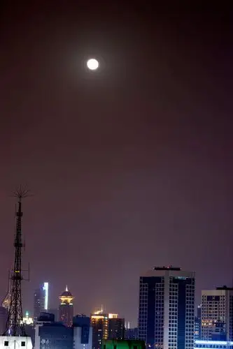 高高的月亮 - 闸北区, 月亮, 夜色, 上海 - 摄魔tommy - 图虫摄影网