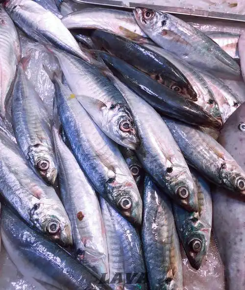 巴浪鱼 像外婆这样的传统潮汕人,一小条巴浪鱼配白粥就是越挑越香,但