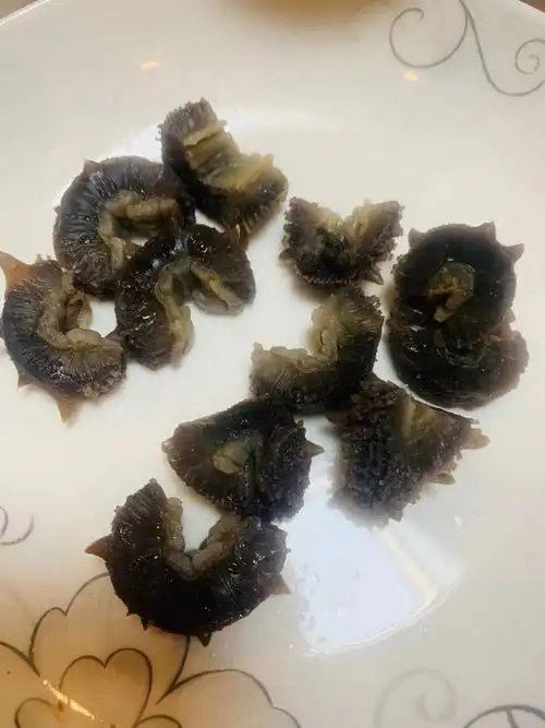 浸泡过的海参 :只需要下锅煮几分钟捞出就ok了,蘸酱也超简单,切点