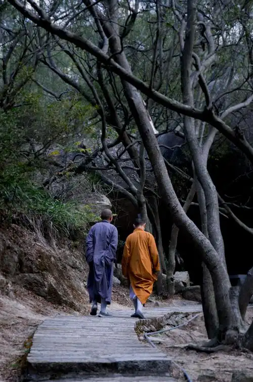 早斋罢了,两个僧人边走边聊,直往后山乘凉去了.