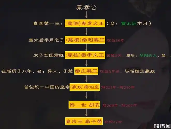 嬴政,大秦帝国家族关系图