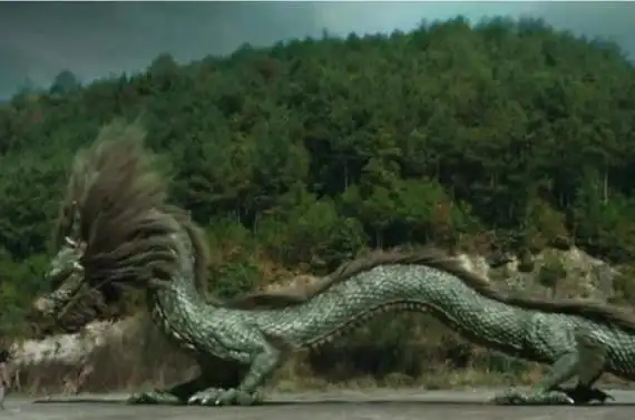 营口坠龙事件揭秘中国最后一条真龙现身2