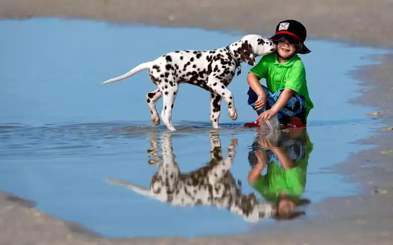 可爱宝宝宠物桌面壁纸之温馨时刻高清大图预览1920x1200_广告壁纸下载