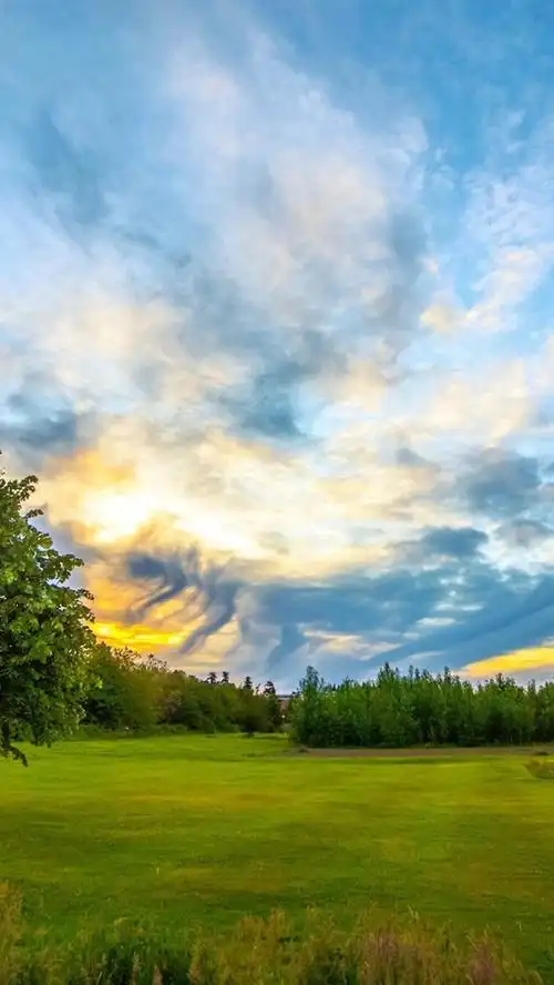 草地,树木,黎明,云 iphone 壁纸