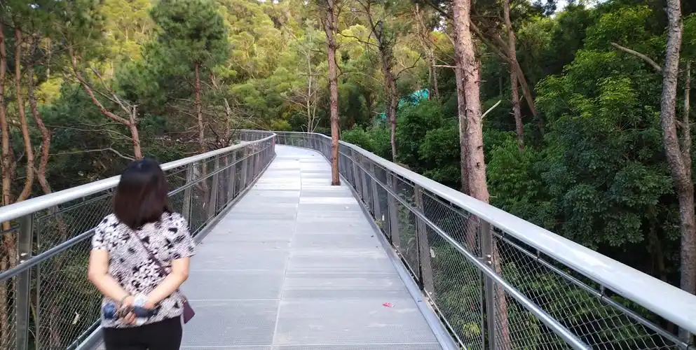 厦门市仙岳山空中步行栈桥2019-09-15