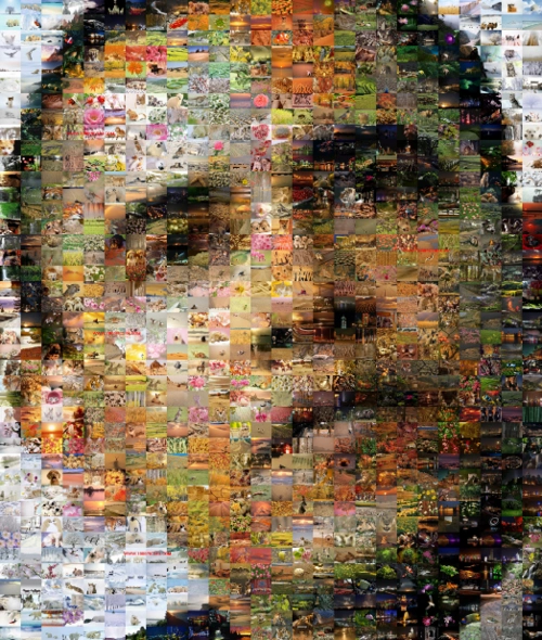 哪里有可以把多张小照片拼成一张指定照片的软件?很急!