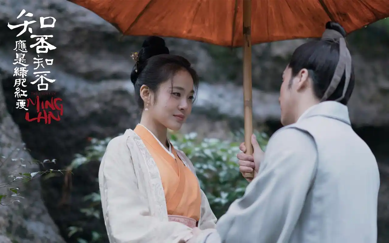 张佳宁《知否知否应是绿肥红瘦》图片壁纸