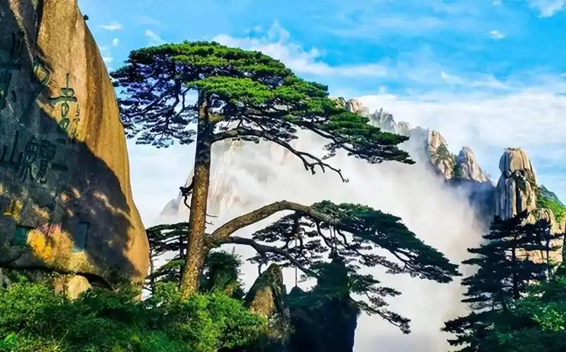 安徽人游安徽四季黄山相约夏天暑期游黄山别忘了看这条推送