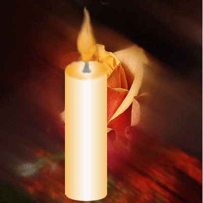 萌萌:愿摇曵的烛光照亮你的世界,你的路,愿你的世界一片光明,我永远的