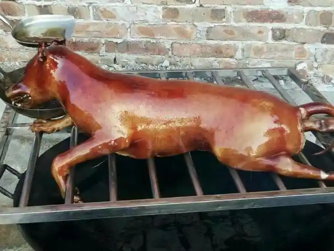 本店的镇店之宝:玉林滋补狗,玉林白切鸡,玉林排骨精,生闷"狗腿子",香