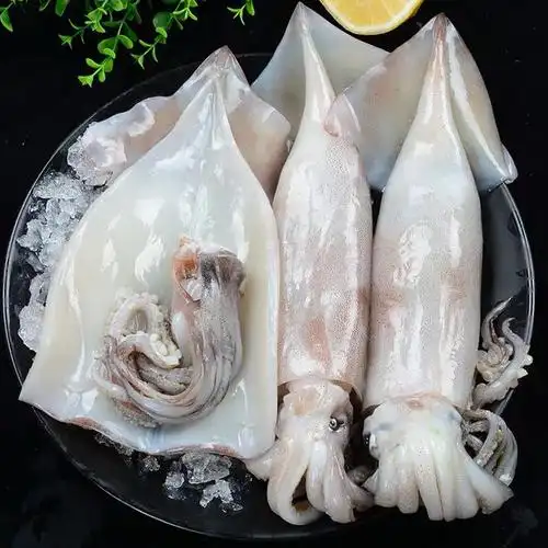 鱿鱼10斤海鲜鲜活速冻新鲜冰鲜发货乌贼烧烤冷冻鱿鱼