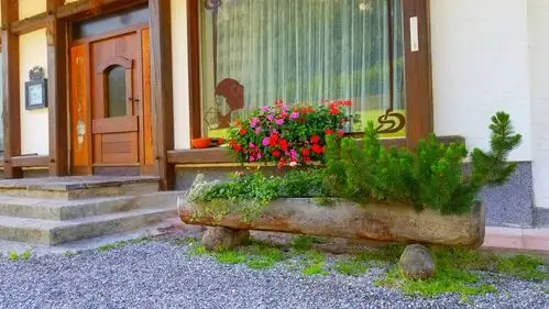 我们住的酒店门口的花池,跟我家先生在山里房子的一样