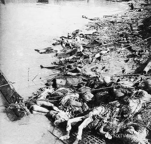 追梦.2019的美篇