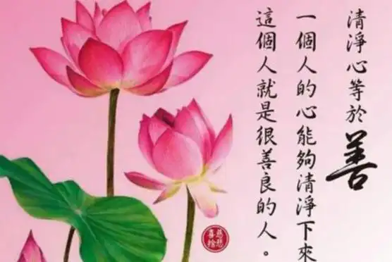 佛的人生感悟的句子