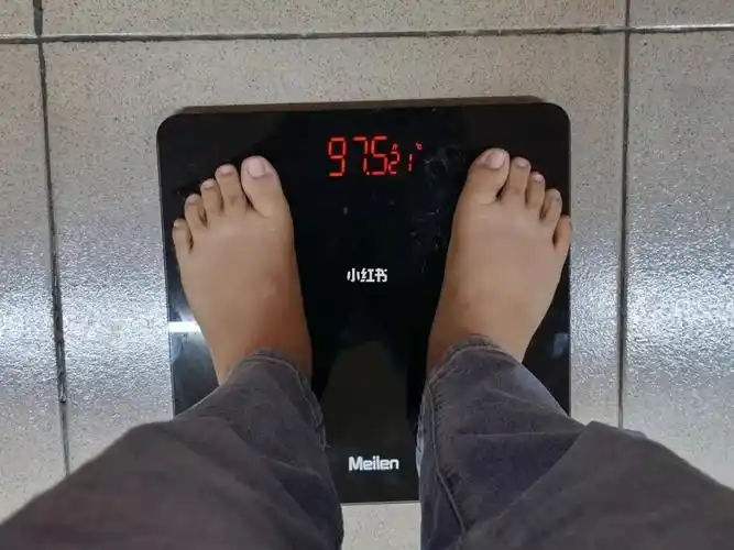 11月12日体重975斤较昨日掉称06斤