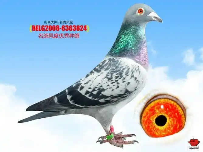 母:b2008-6363824  雨点 黄 雌