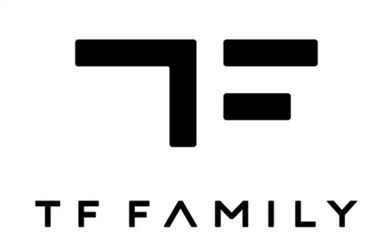 tf家族音乐会阿姨之歌全员