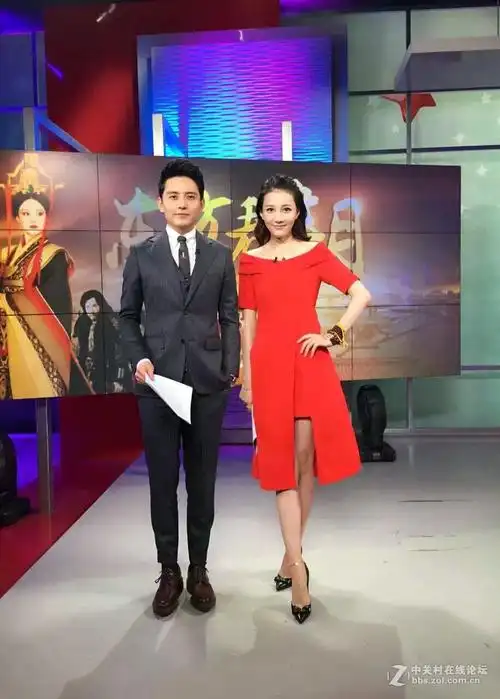 电视台栏目主持人——马杰