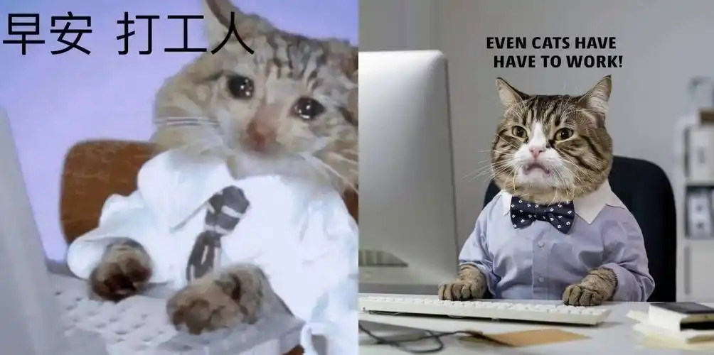 打败midjourney这个google大牛推出的ai产品凭什么弯道超车