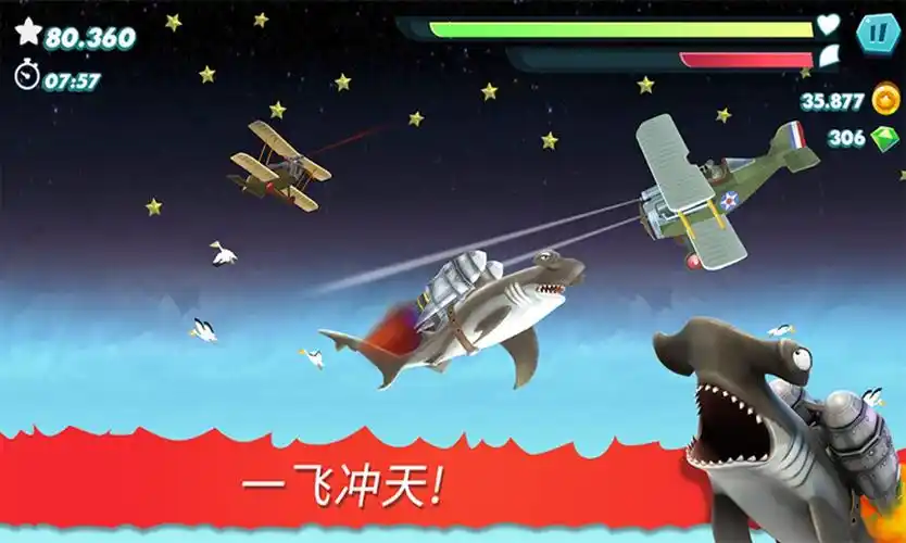 饥饿大白鲨下载-饥饿大白鲨无敌版游戏下载安装_求知软件网