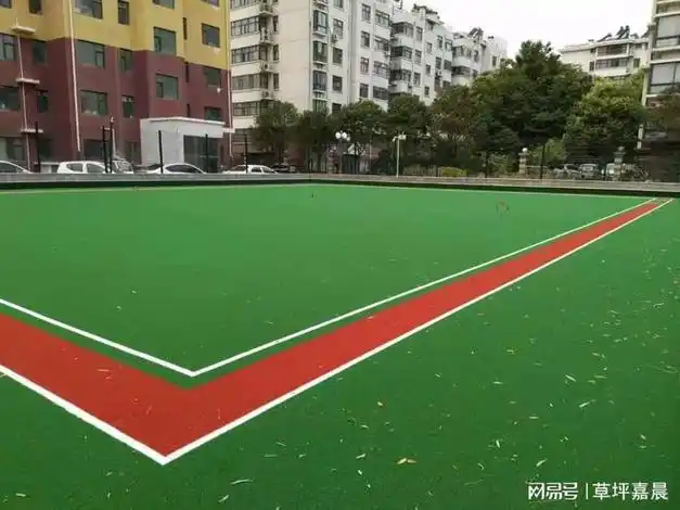 人造草坪门球场的尺寸和区域划分规则详解