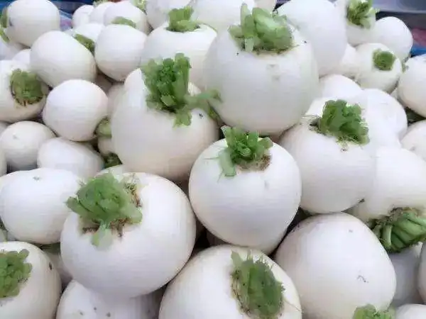 成都郫都区的 云桥圆根萝卜