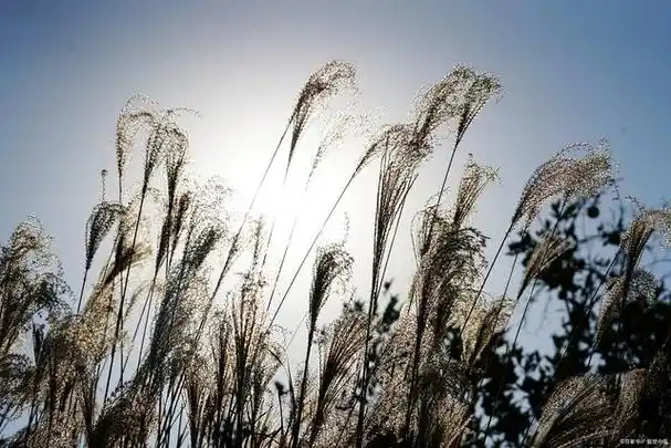 飘风不终朝,骤雨不终日