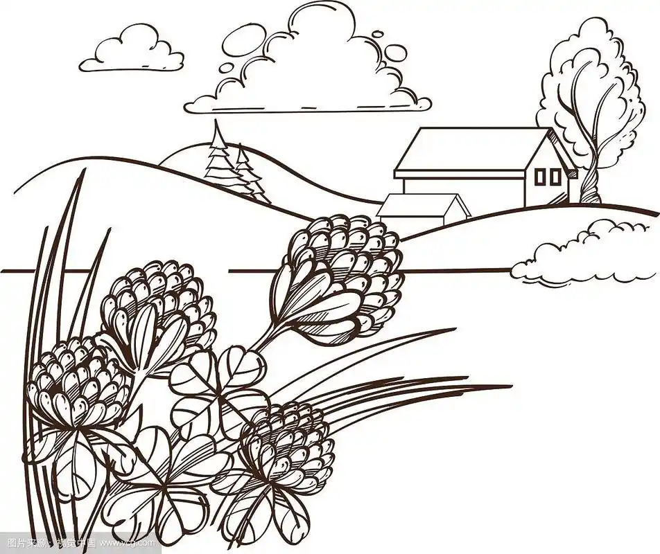 单色农场和田野孤立在白色