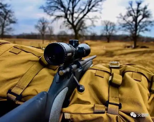 【便宜好用】雷明顿700系列狙击步枪图集