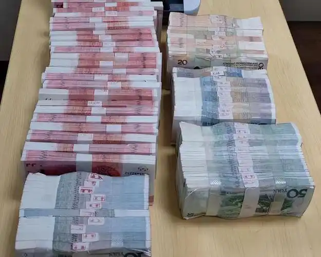 另外行李箱里价值200万的绿檀木和几件瓷器也被他偷走了,帮他做案的人