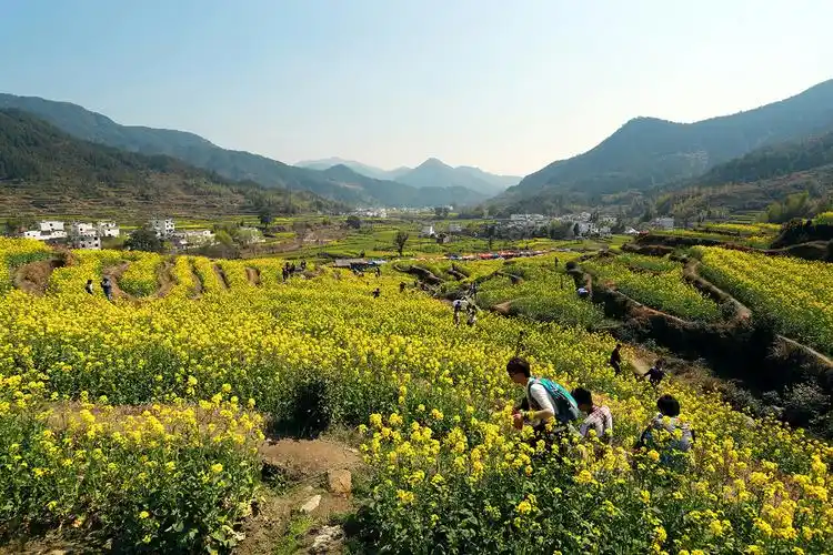 【图片14】最美乡村江西婺源--蜂鸟论坛照片套图