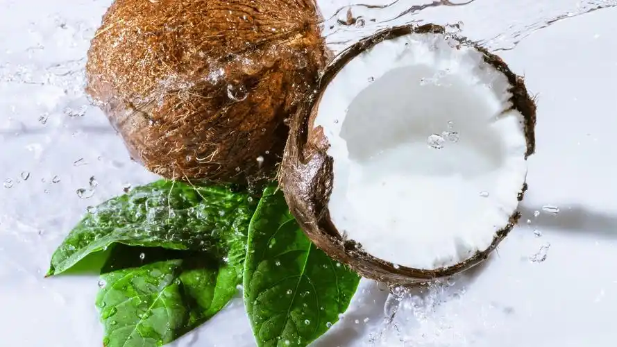 椰子图片素材高清电脑桌面壁纸