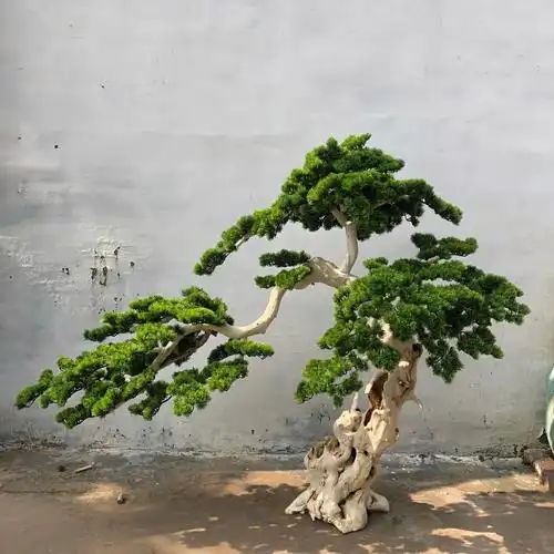 松树仿真盆景迎客松造型大型实木雪松马尾松木雕仿真植物盆景