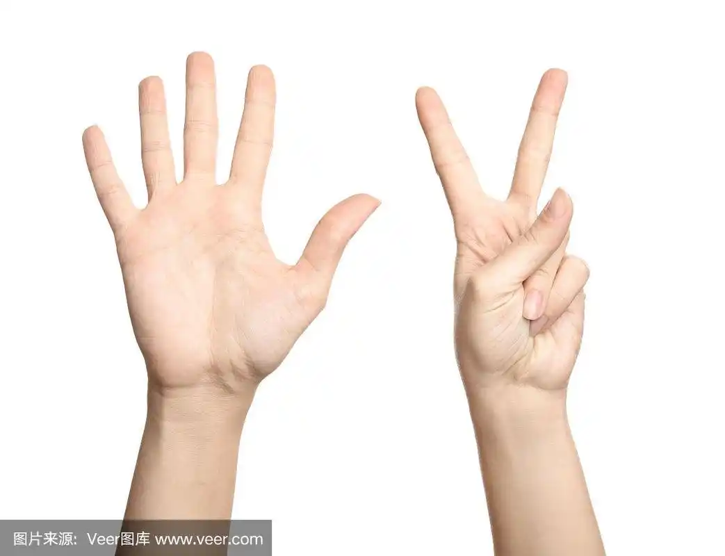 标志,特写,女人,做手势,数字7