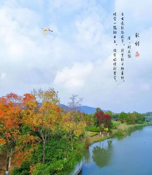 晴空一鹤排云上,便引诗情到碧霄.